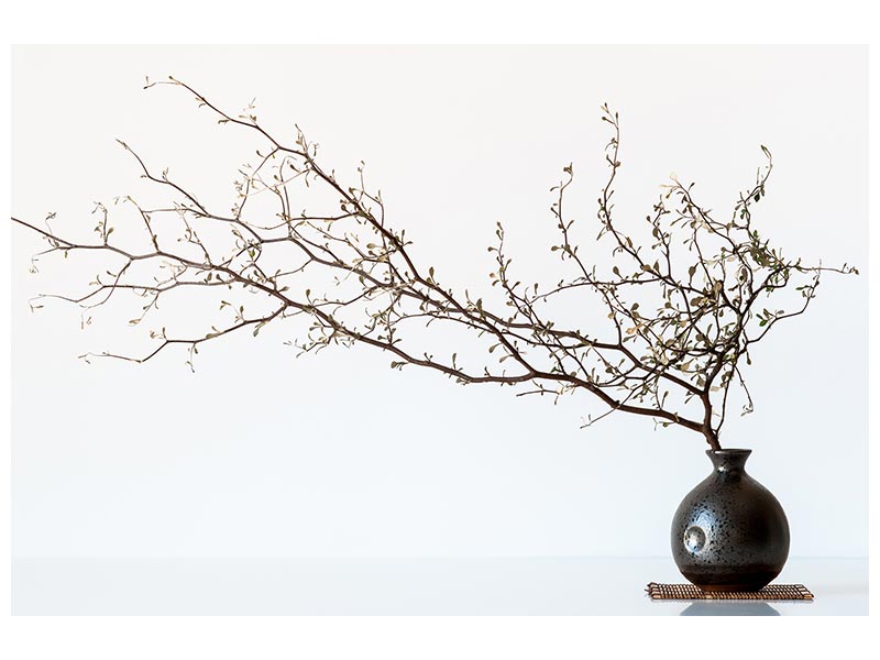 canvas-print-vase-and-branch-x
