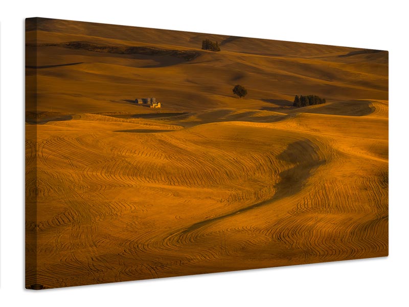 canvas-print-wheat-field-in-sunset-x