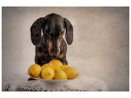 canvas-print-when-life-gives-you-lemons-x