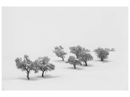 canvas-print-white-carpet-x