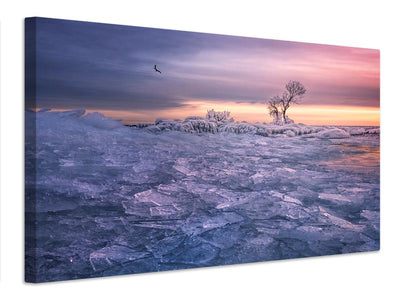 canvas-print-winter-wonderland-x