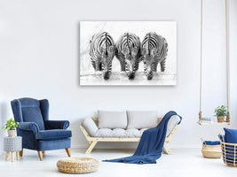 canvas-print-zebras-xbj