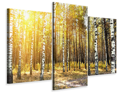 modern-3-piece-canvas-print-birch-forest
