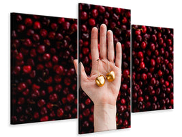 modern-3-piece-canvas-print-cherry-picking