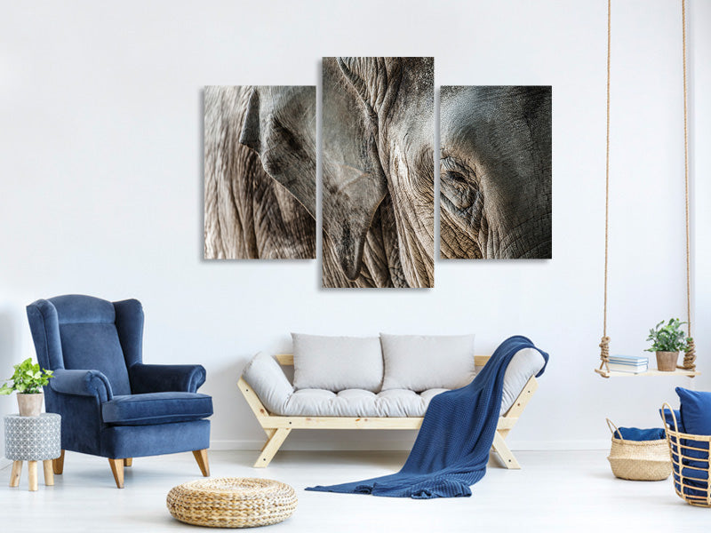 modern-3-piece-canvas-print-close-up-elephant