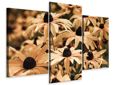 modern-3-piece-canvas-print-daisies-in-sepia