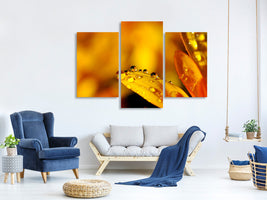 modern-3-piece-canvas-print-drops-close-up