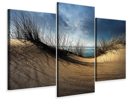 modern-3-piece-canvas-print-dunes