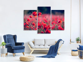 modern-3-piece-canvas-print-in-the-poppy-field