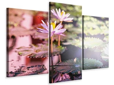modern-3-piece-canvas-print-lilies-in-pond