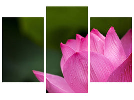 modern-3-piece-canvas-print-marko-lotus-in-pink