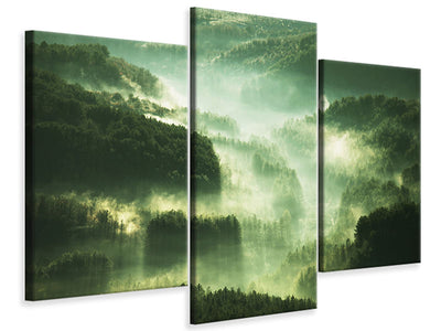 modern-3-piece-canvas-print-over-the-woods