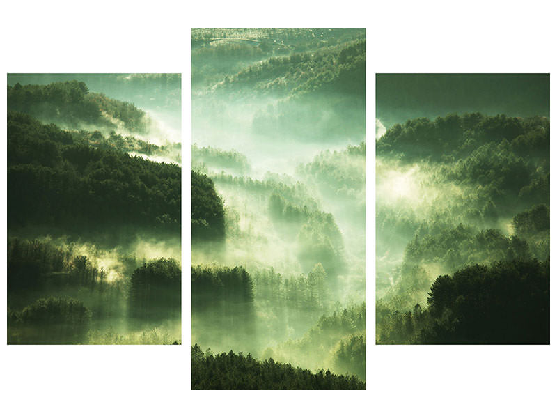 modern-3-piece-canvas-print-over-the-woods