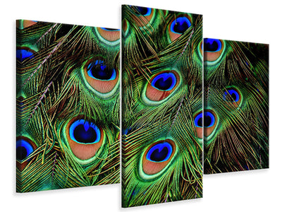 modern-3-piece-canvas-print-peacock-feathers-xxl