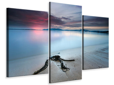 modern-3-piece-canvas-print-read-the-signs