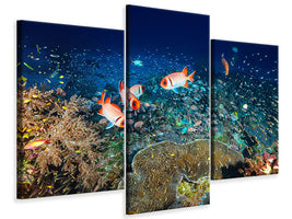 modern-3-piece-canvas-print-reef-lifeii