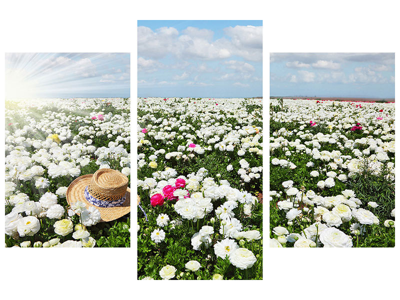 modern-3-piece-canvas-print-spring-flower-meadow