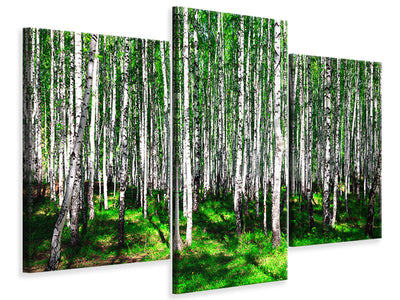 modern-3-piece-canvas-print-summerly-birch-forest