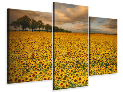 modern-3-piece-canvas-print-sunflowers