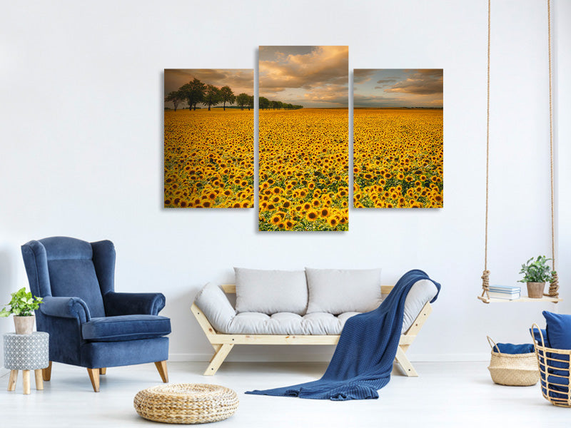 modern-3-piece-canvas-print-sunflowers