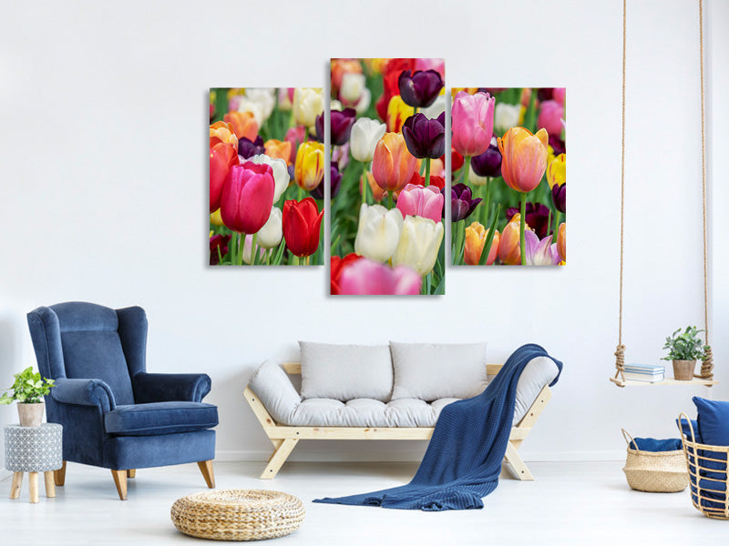 modern-3-piece-canvas-print-the-colors-of-the-tulips