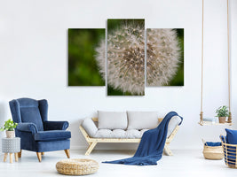 modern-3-piece-canvas-print-the-dandelion-in-nature