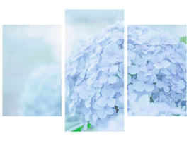 modern-3-piece-canvas-print-the-hydrangea