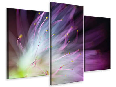 modern-3-piece-canvas-print-the-will-o-the-wisp