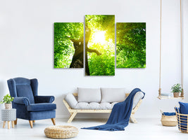 modern-3-piece-canvas-print-tree