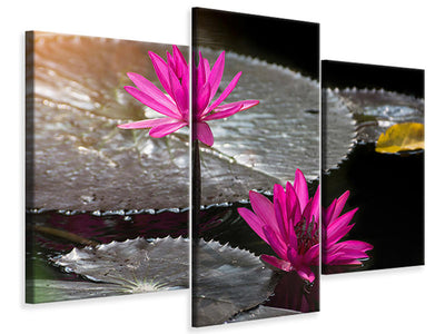 modern-3-piece-canvas-print-water-lily-in-the-morning-dew