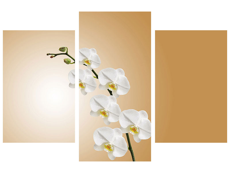 modern-3-piece-canvas-print-white-orchids-xl