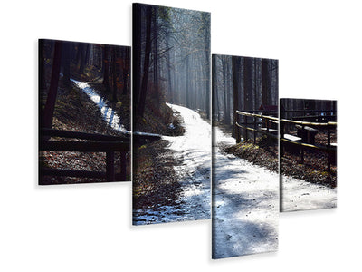 modern-4-piece-canvas-print-a-path-in-the-snow