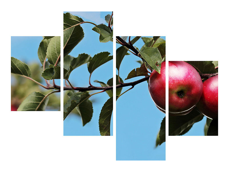 modern-4-piece-canvas-print-apple-on-the-tree