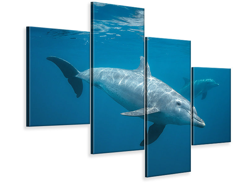 modern-4-piece-canvas-print-curious-dolphin