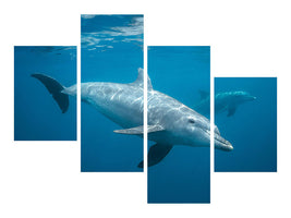 modern-4-piece-canvas-print-curious-dolphin