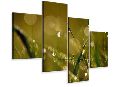 modern-4-piece-canvas-print-dew-in-the-morning