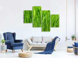 modern-4-piece-canvas-print-grass-in-morning-dew