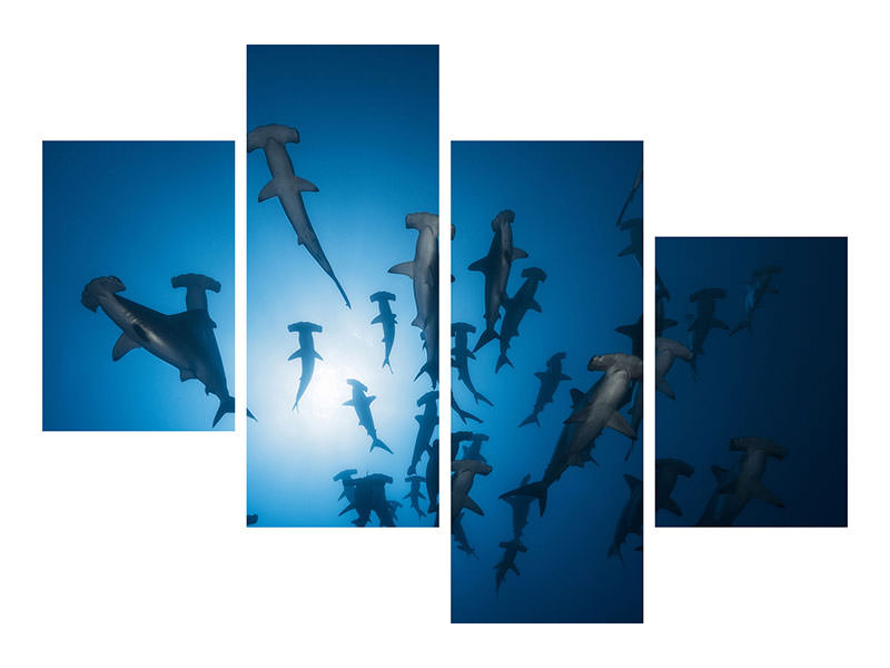 modern-4-piece-canvas-print-hammerhead-shark-underwater-photography