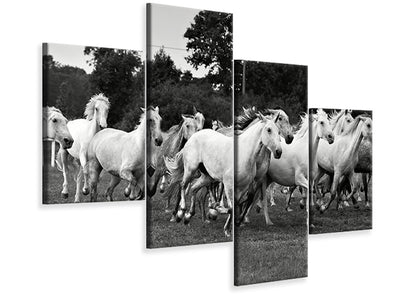modern-4-piece-canvas-print-the-mustang-herd