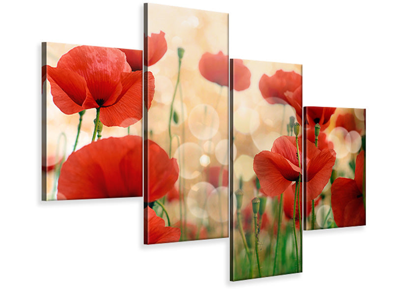 modern-4-piece-canvas-print-the-poppy