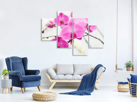 modern-4-piece-canvas-print-the-symbol-of-orchid