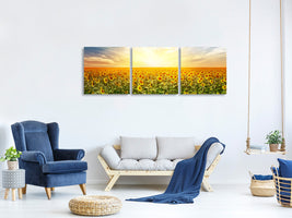 panoramic-3-piece-canvas-print-a-field-full-of-sunflowers