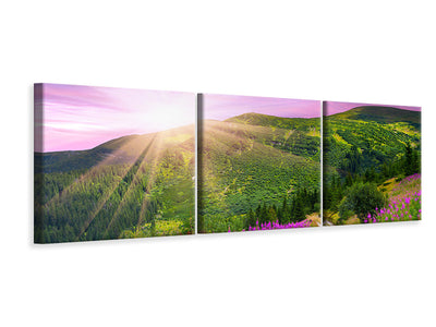 panoramic-3-piece-canvas-print-a-summer-landscape-at-sunrise