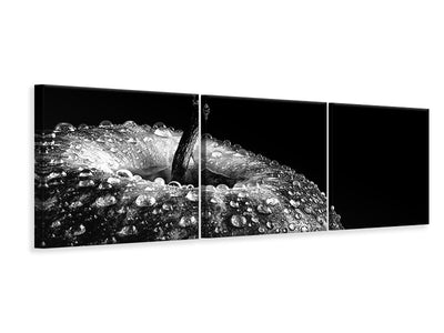 panoramic-3-piece-canvas-print-appel