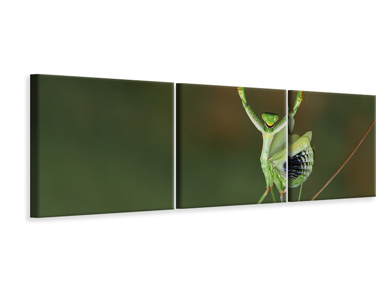panoramic-3-piece-canvas-print-are-you-gonna-dance-with-me