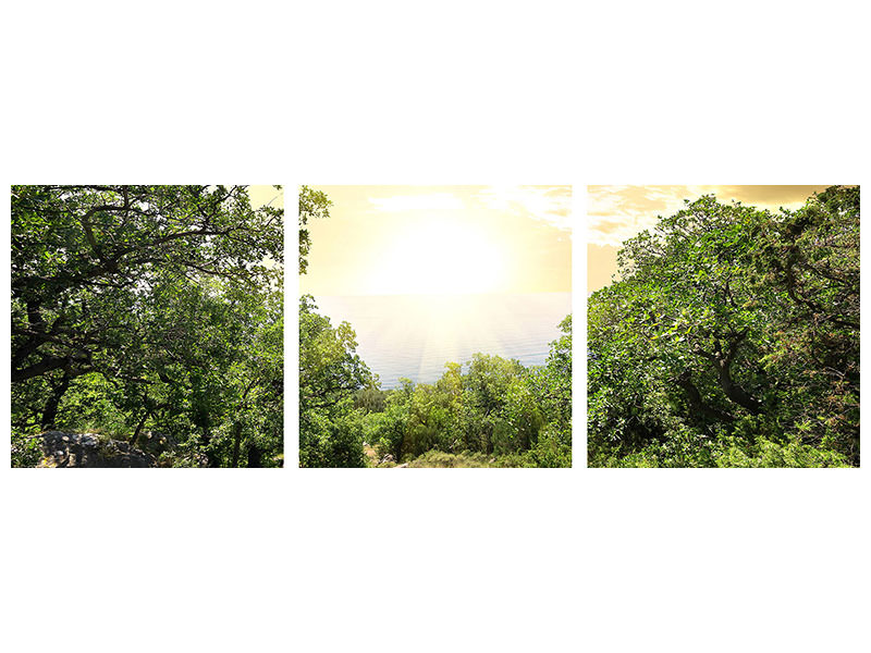 panoramic-3-piece-canvas-print-at-the-end-of-the-forest