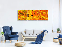 panoramic-3-piece-canvas-print-autumn-leaves-ii