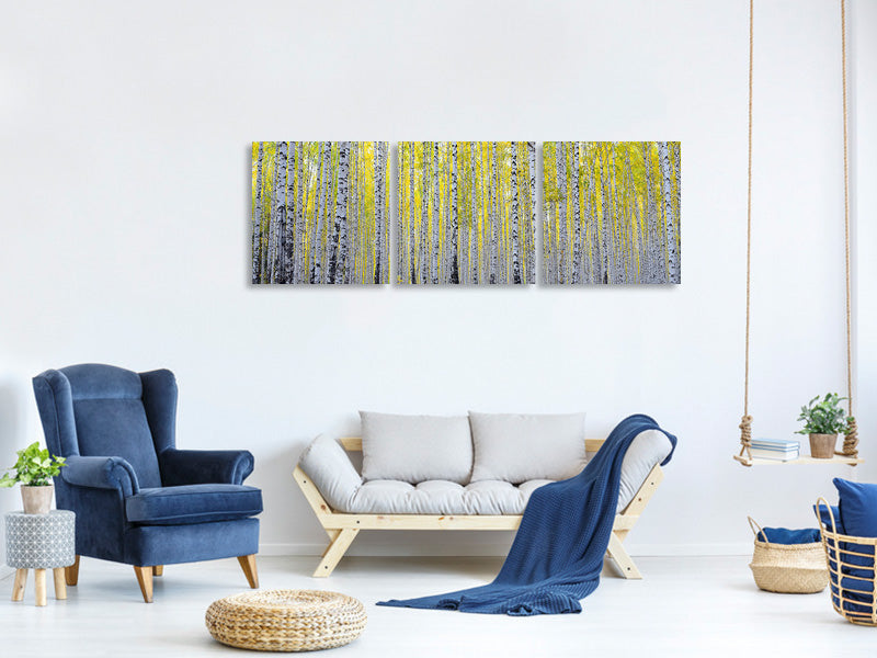 panoramic-3-piece-canvas-print-autumnal-birch-forest