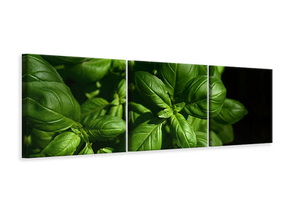 panoramic-3-piece-canvas-print-basil-in-xl