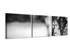 panoramic-3-piece-canvas-print-birch-trunk
